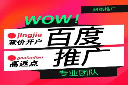 百度竞价代理的投放策略及某行业成功案例